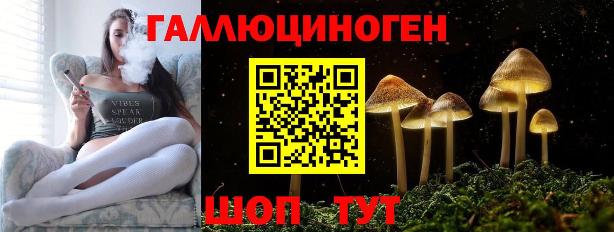 Киселёвск  Псилоцибиновые грибы Psilocybine cubensis  продажа наркотиков  Вход с VPN 